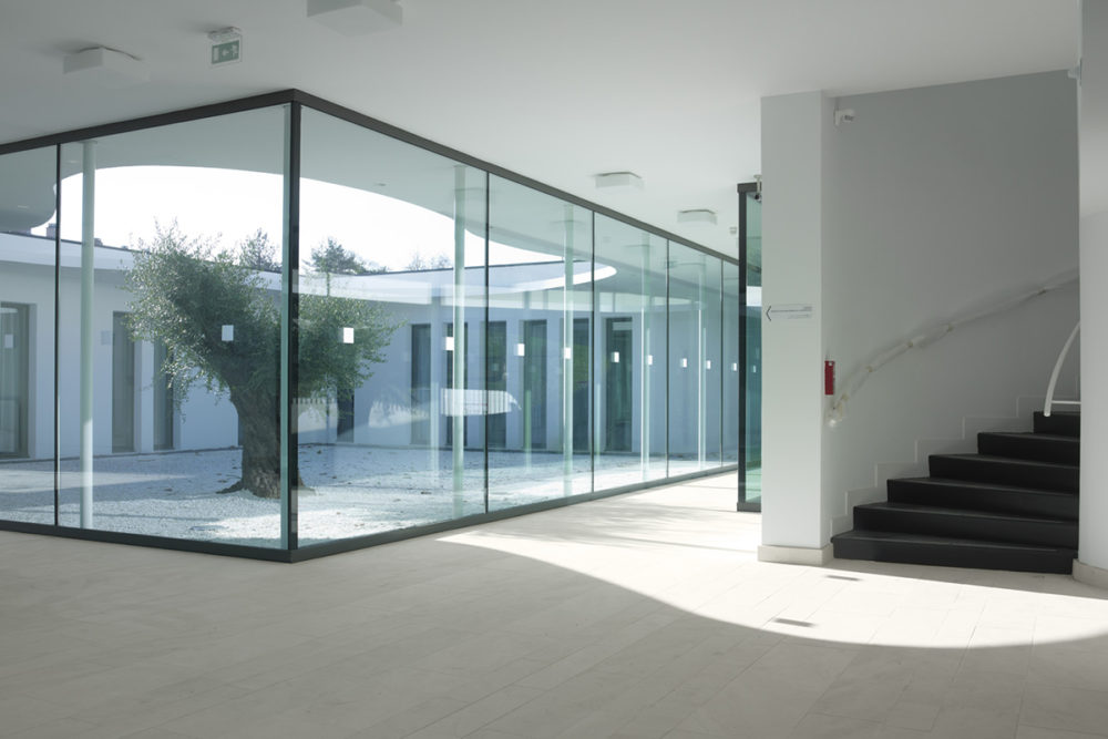 MSD Bayonne